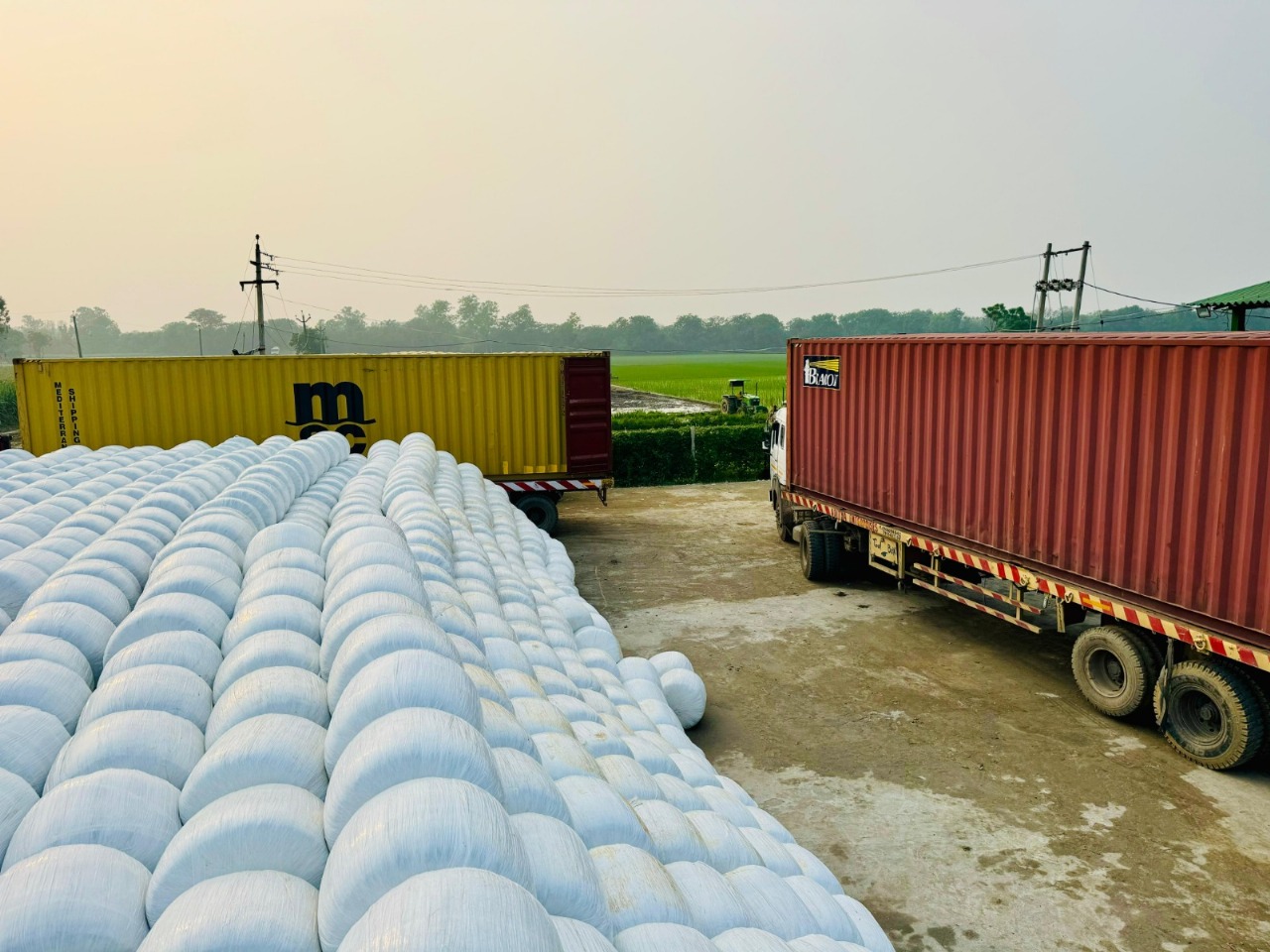 Silage Manufacturing Company In India Green Gold Silage Team And Vision – Tap To Chat On WhatsApp