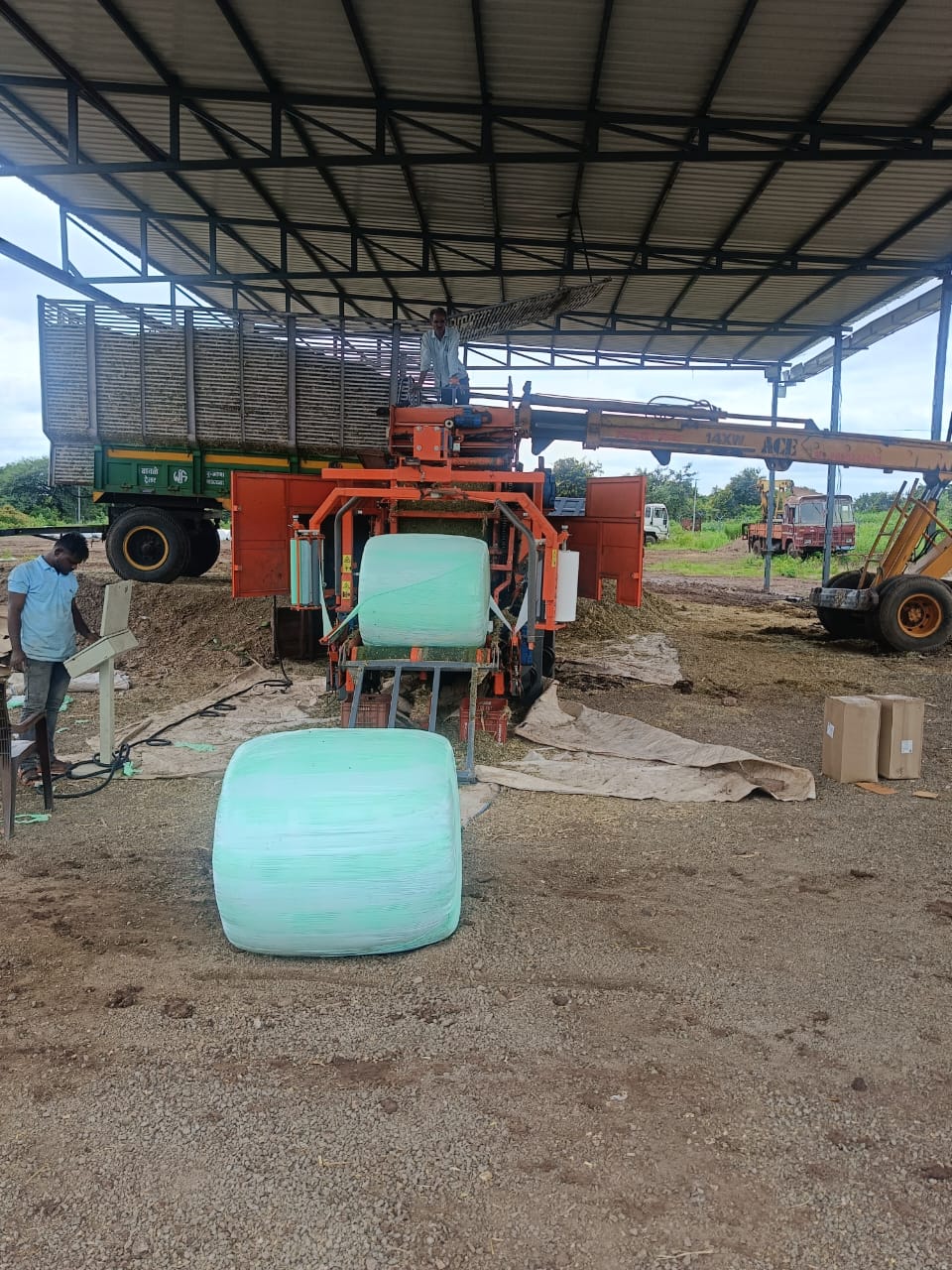 Tractor Working In Corn Silage Field