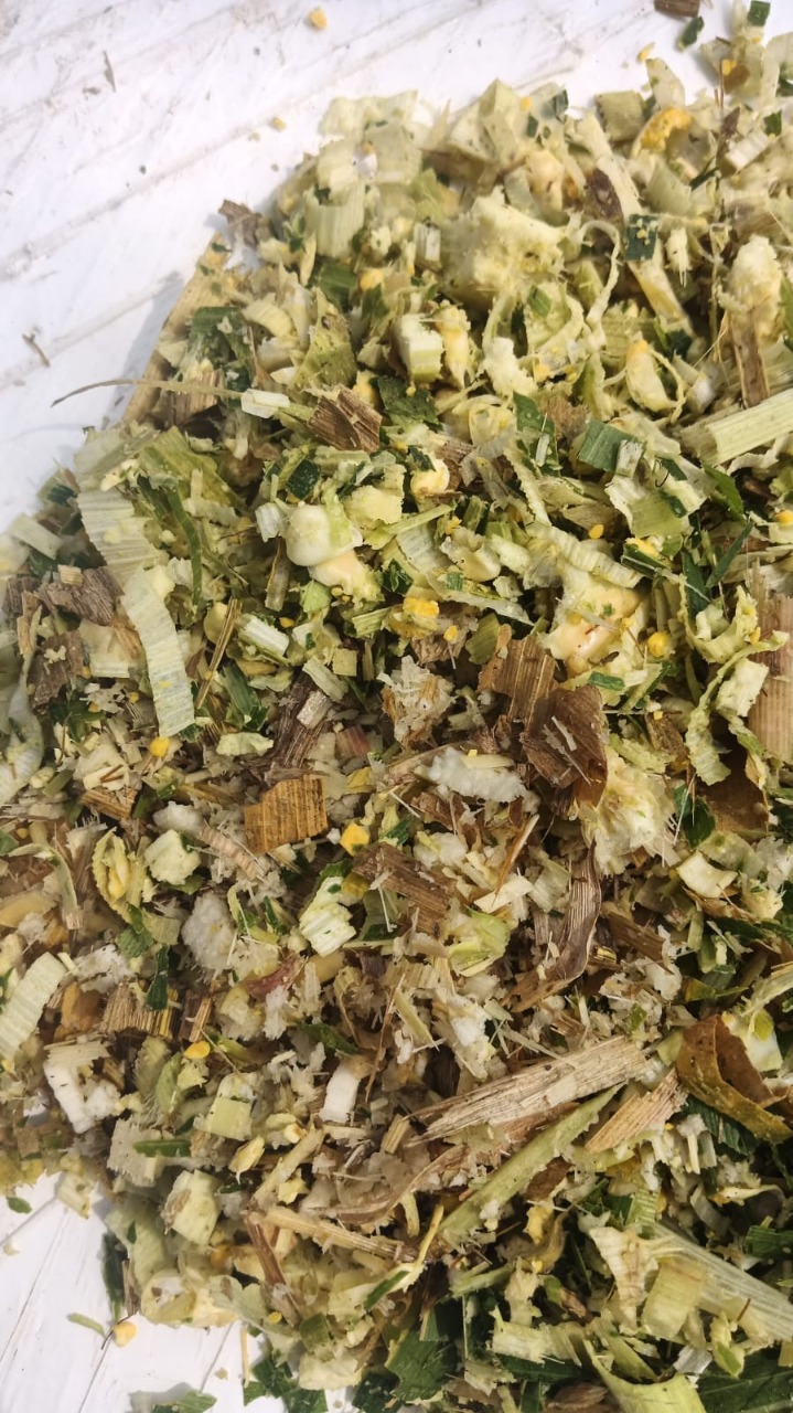 High Quality Baled Corn Silage For Dairy Farmers In India – Tap To Chat On WhatsApp